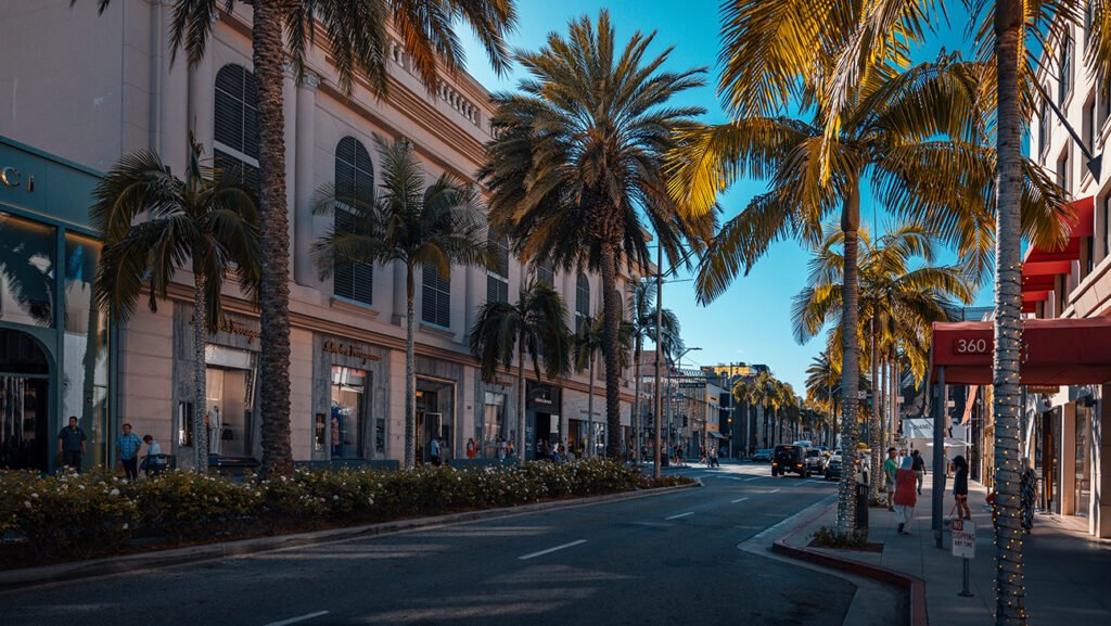 THR Investigations Inspired This Beach Read