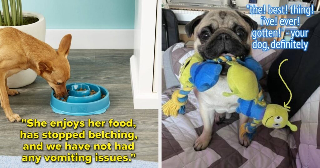 27 Chewy Items To Make You A Dog Ownership Genius