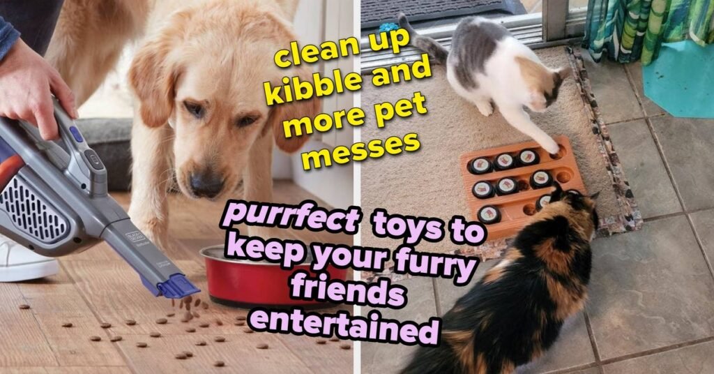 Manage Pet Chaos With These 27 Chewy Essentials