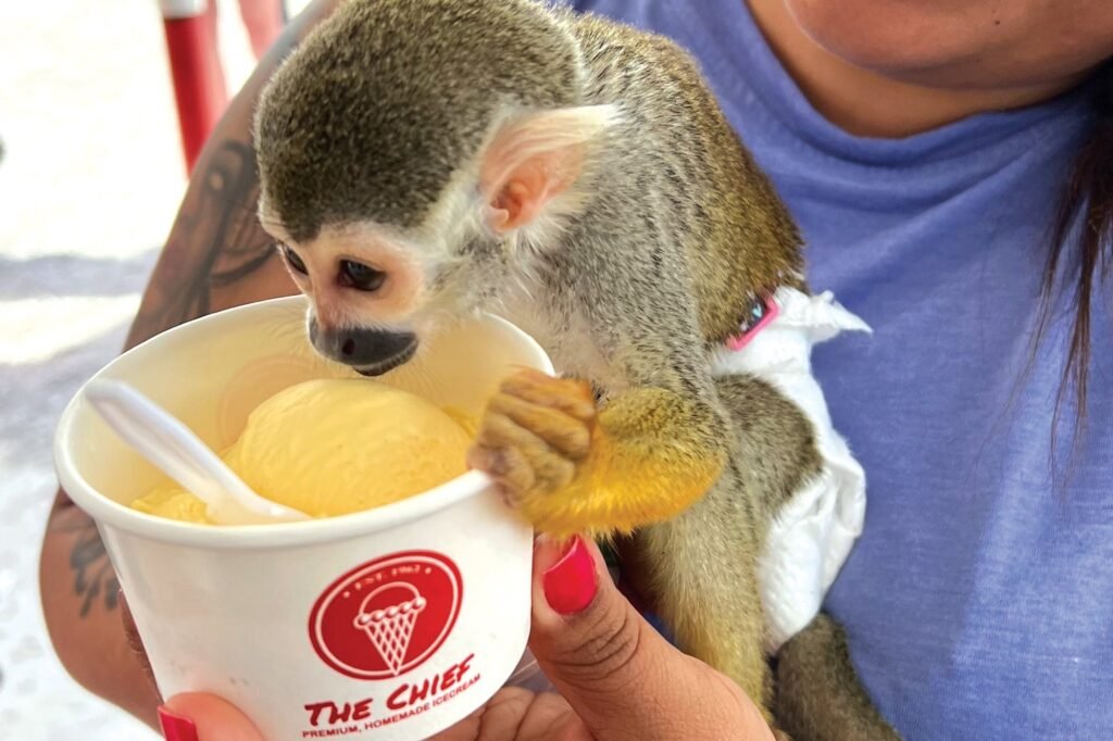 Small Businesses Reveal Their Best-Selling Promotions