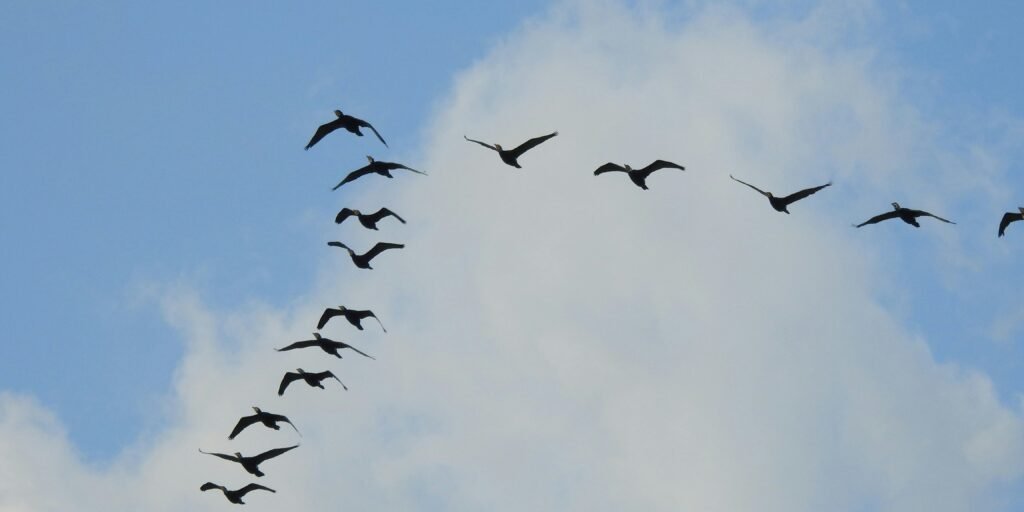 India wants its AI talent back home. But they won't return easily, caution experts